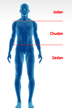 Anatomie Karate